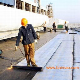 淄博建筑漏水克星 潍坊正大圣龙防水卷材，守护建筑安全