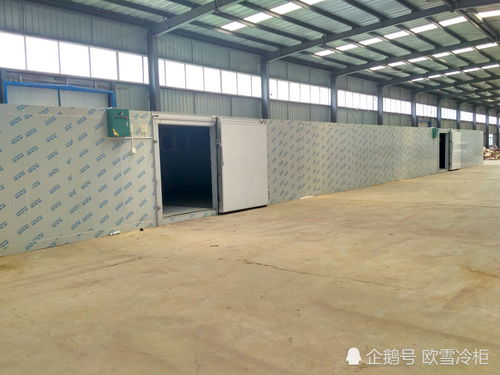 冷冻冷藏背后的隐形长城 生鲜储藏、工程建设与防水材料的协同博弈